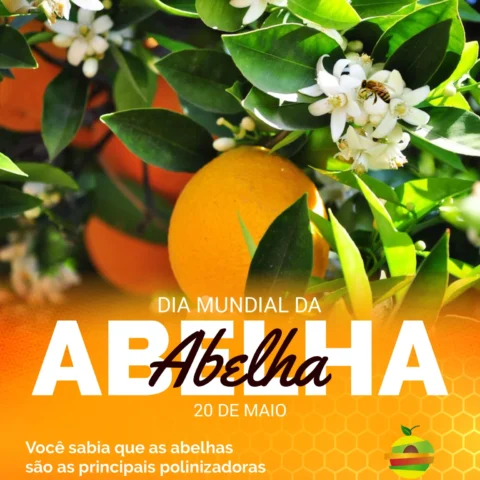 Hoje celebramos o Dia Mundial das Abelhas!