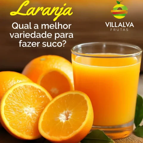 Qual a melhor laranja para fazer suco?