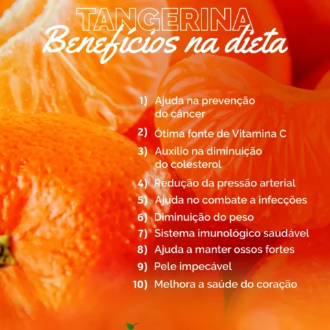 Tangerina: 10 motivos para incluir a fruta na dieta