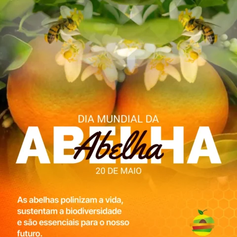 Dia Mundial da Abelha