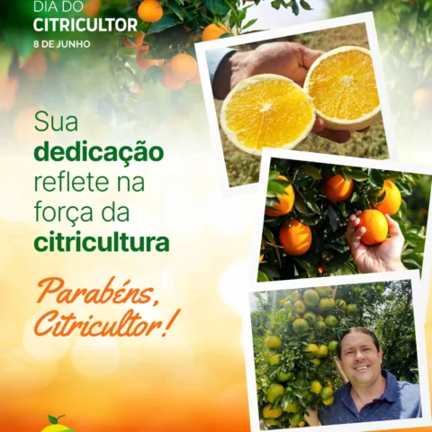 Dia do Citricultor!